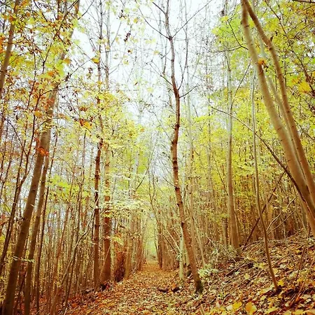 Apartment Renke Alberode